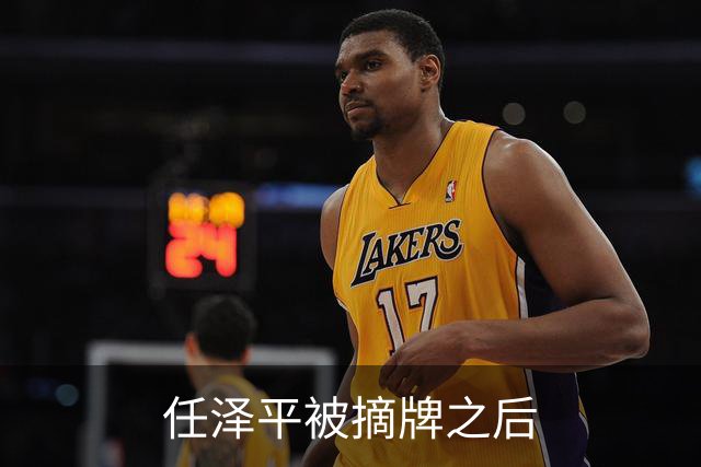 任泽平被摘牌之后