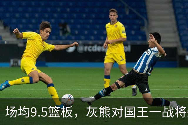 场均9.5篮板，灰熊对国王一战将失去他