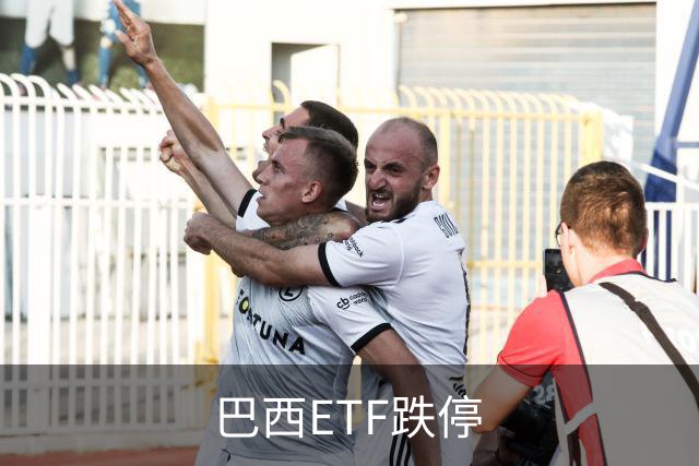 巴西ETF跌停