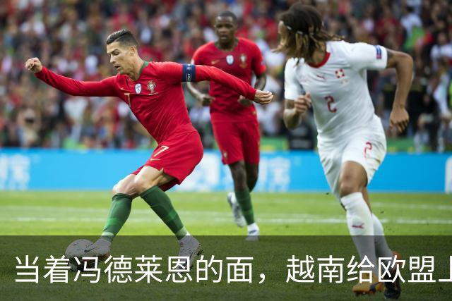 当着冯德莱恩的面，越南给欧盟上了一课：什么叫“中国力量”