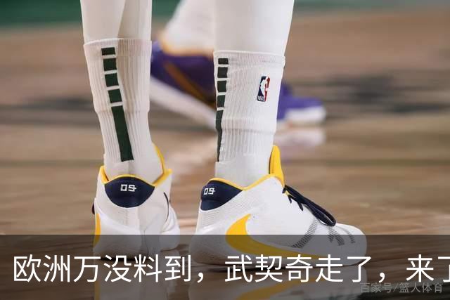 欧洲万没料到，武契奇走了，来了更硬的，学生名单对中俄表明态度