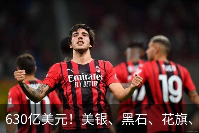630亿美元！美银、黑石、花旗、摩根士丹利四大金融巨头联手，为Anthropic算力扩张提供巨额融资